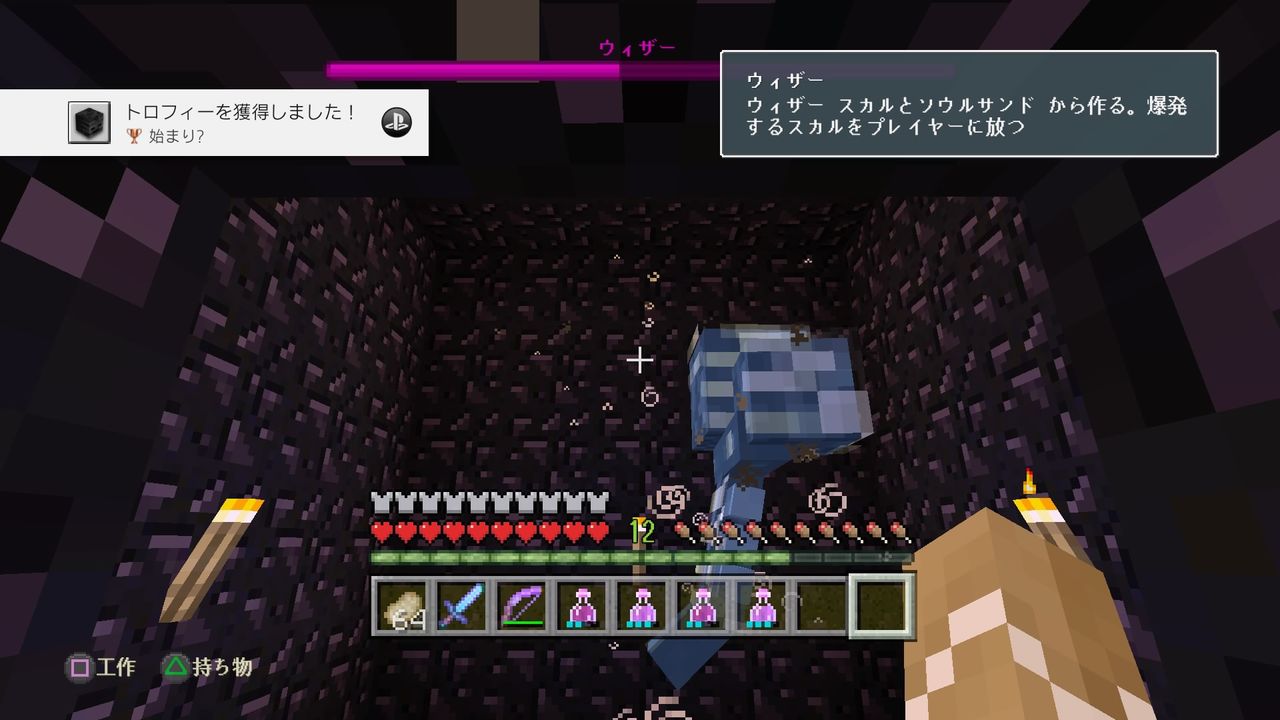 ウィザーに挑戦 マインクラフト交換日記