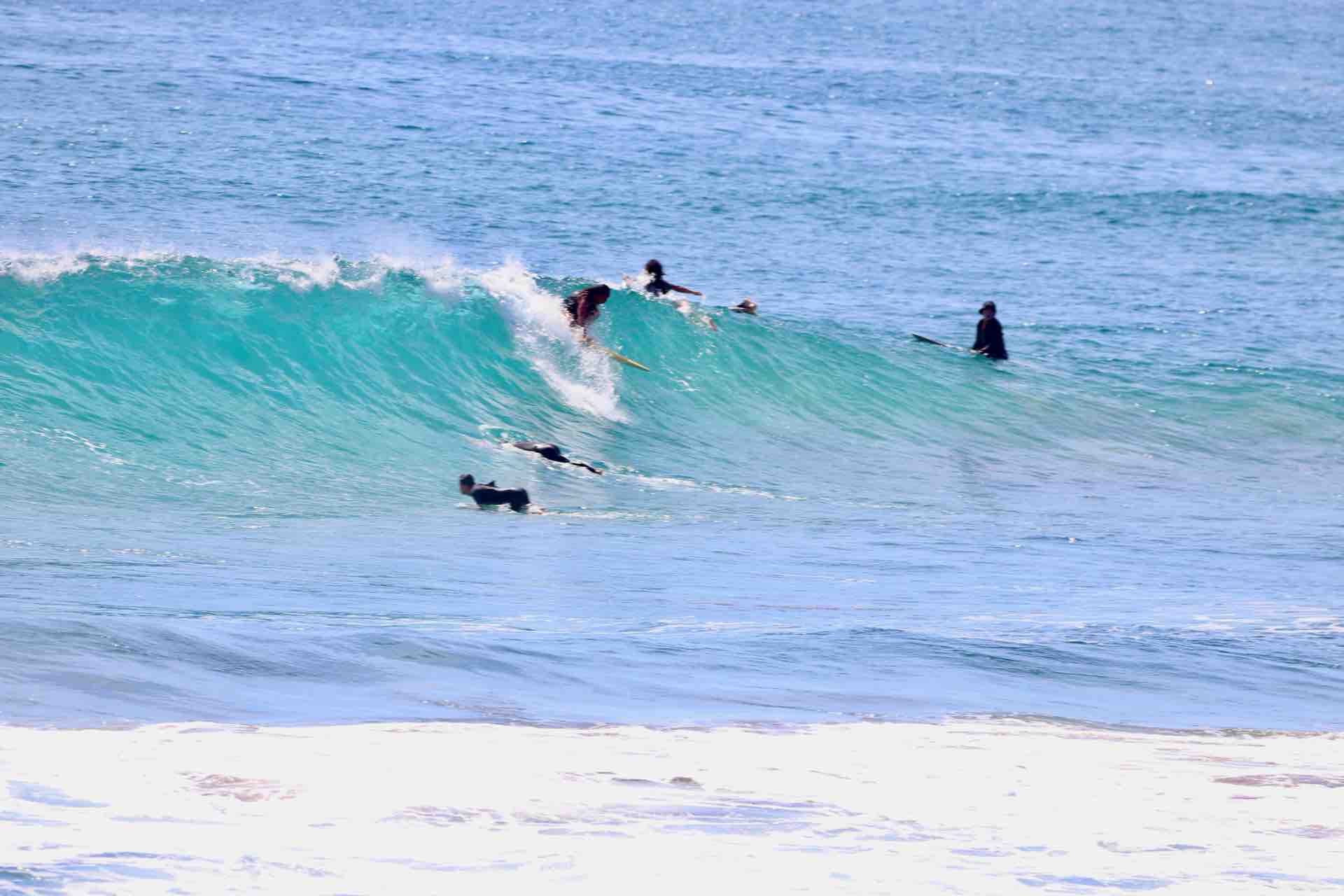 実際どうなのよ Cheyne Horanのフィンって・・・・ : HOLYSMOKE