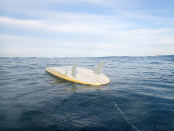 E94F3592-17A1-40B4-8FC7-BF2B3F88E7FE