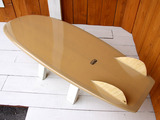 minisimm53c