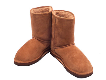 11231911_5652e6679f825