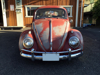 1962BUG6