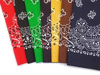 8313main-1_6f9c62b1-ec04-46fa-97