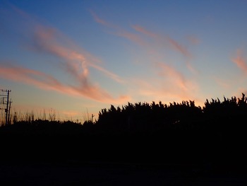 C7E91006-DD02-4DCB-9D48-43E0AF6BF609