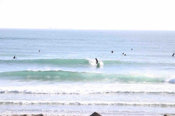 B6F8F11D-EAF8-4264-BBC7-38CC09972025