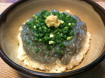 shirasu