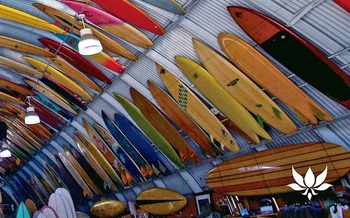 �����꡼�󥷥�å�-2026-03-28-14.23.37