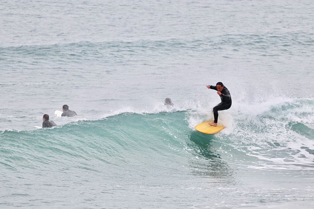 JOSH HALL Bat Tail Egg Twin 8'6\" ジョシュホール JOSH HALL/BAT TAIL EGG TWIN 6'6