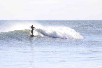 B195B98D-730F-4AA8-9E98-A919AF8545D1