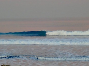 D743B12F-B14F-4437-8DEA-83749C9E8F47