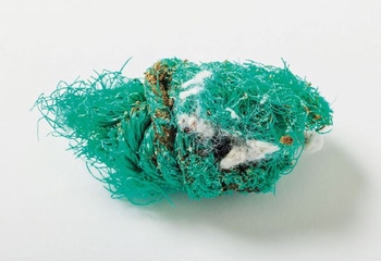 �����꡼�󥷥�å�-2024-04-05-18.25.05