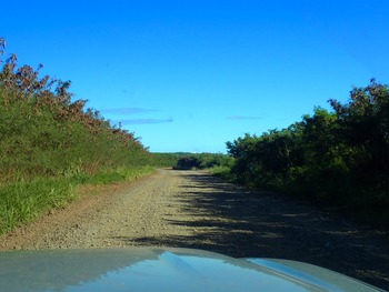 CB1207B3-4852-4773-9EAC-C0C5A37C9768