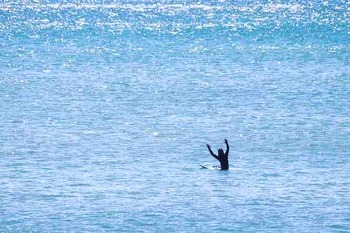 1242B84F-1137-43C4-B0D6-CA676E1D4658