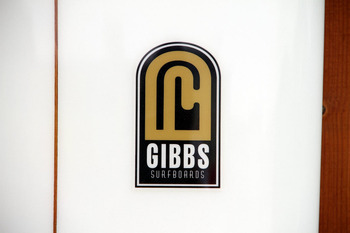gibbs9