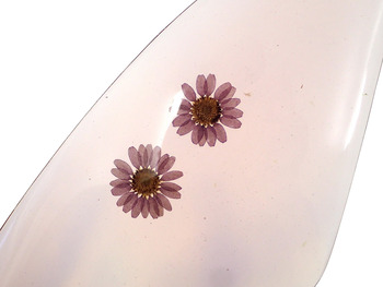 P6100365
