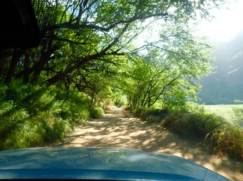 8770B3A5-71D1-4993-BB62-929FE2165659