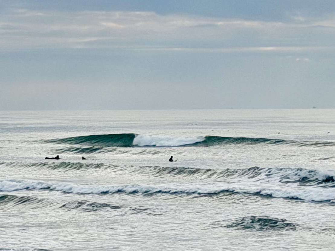 Andreini Edge Boards with a Tarmarr Fin : HOLYSMOKE