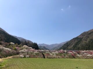 IMG_3019