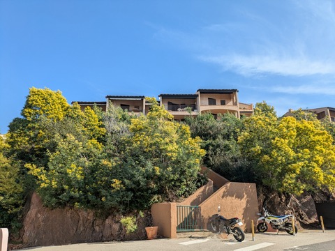 PXL_20250306_103833843~2 (002)