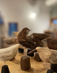 IMG_8462