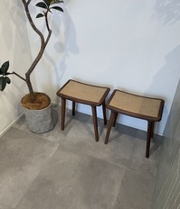 IMG_2535