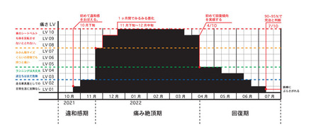 四十肩グラフ