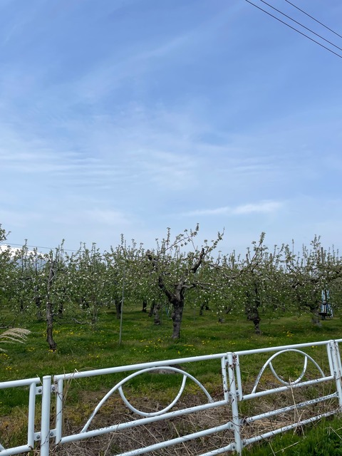 IMG_1944