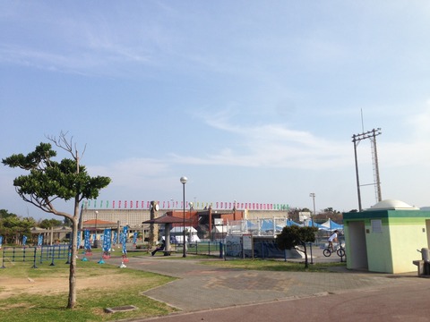 写真-12