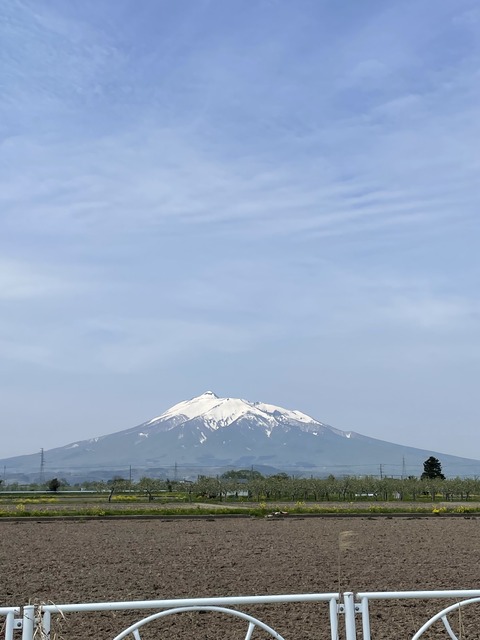 IMG_1942