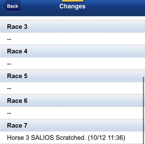 サリオス香港出走取り消し