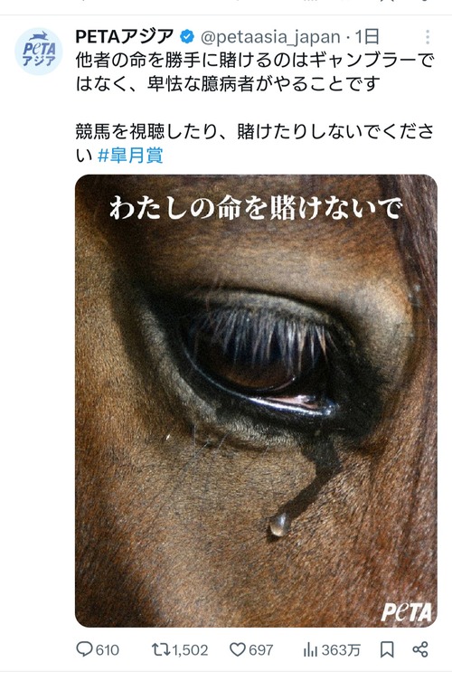 動物愛護団体が発表したポスターが衝撃的 「競馬はギャンブルではなく、卑怯な臆病者がやることです」