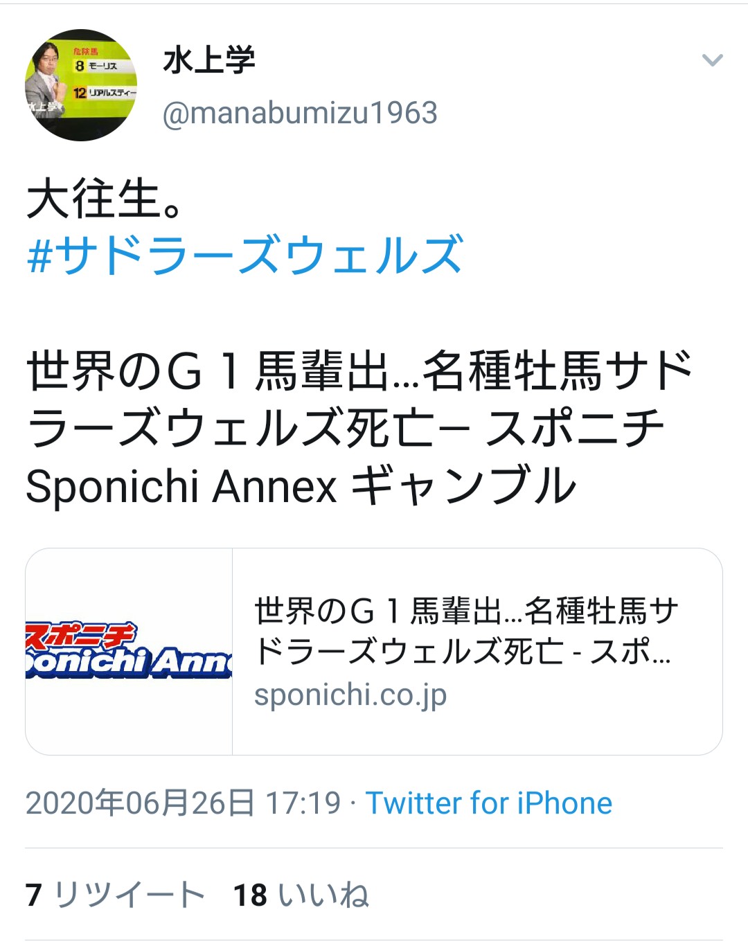 ターフ速報-競馬まとめ- 水上学先生がサドラーズウェルズを追悼 コメント
