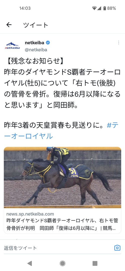 テーオーロイヤル骨折