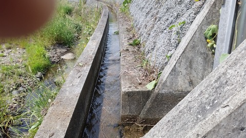 20170531_100742