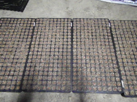 RIMG0298