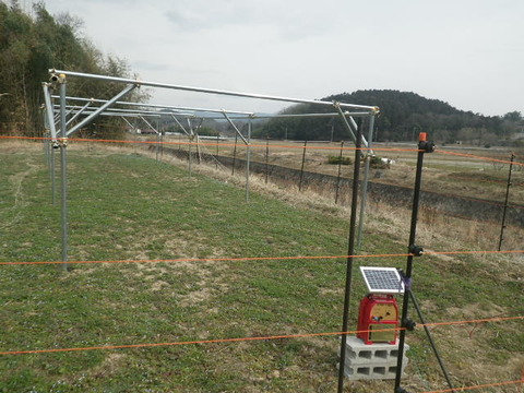 RIMG1009