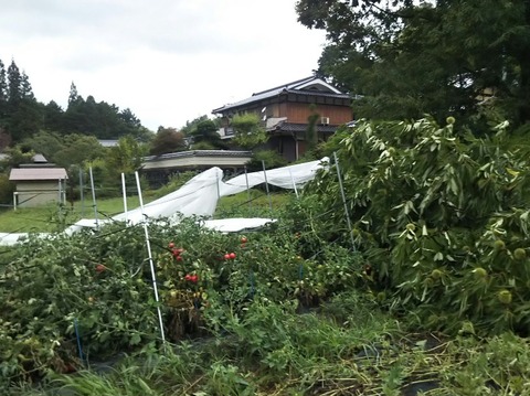 DSC_0325_HORIZON-816x611