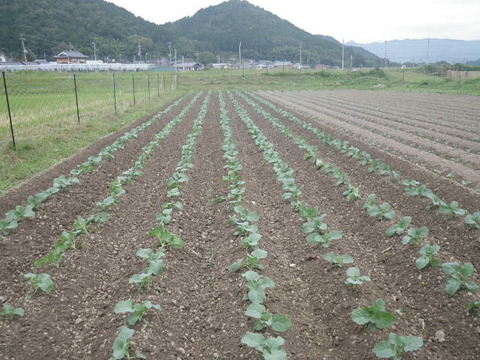 RIMG0673