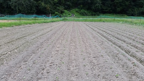 20170911_153000