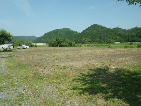 RIMG1198