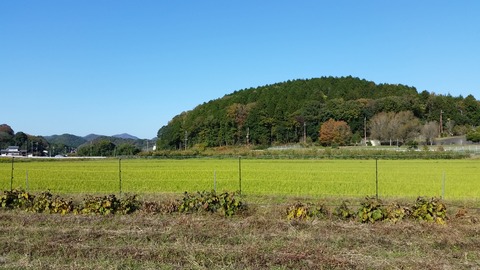20171110_135002 (1)