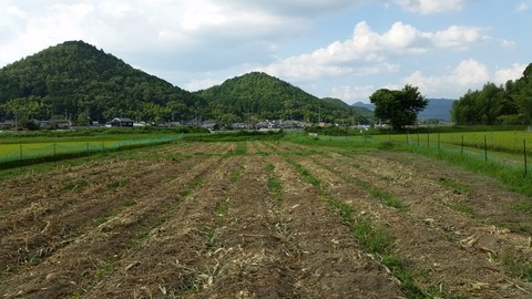 20170806_161252