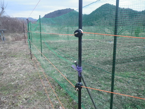 RIMG0945
