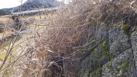 20180124_132143