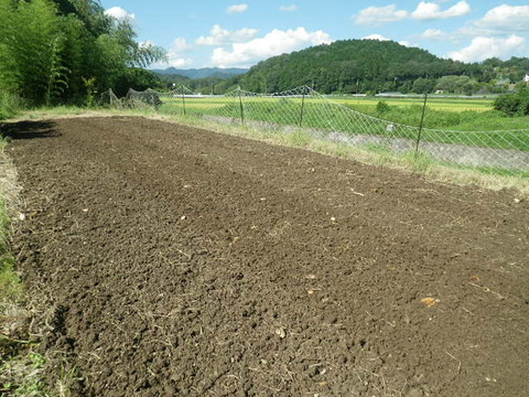 RIMG0577
