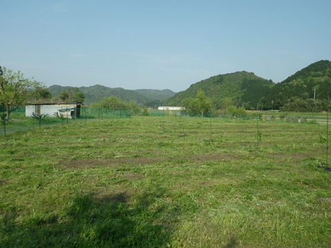 RIMG1134