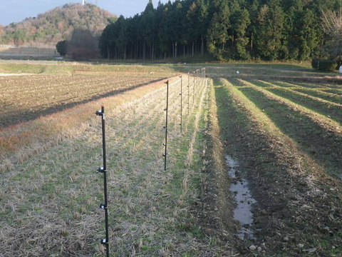 RIMG0849
