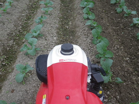 RIMG0672
