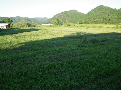 RIMG0578