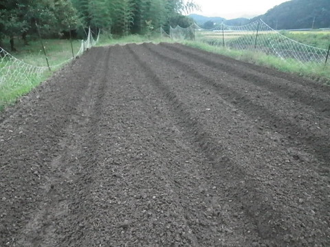 RIMG0600